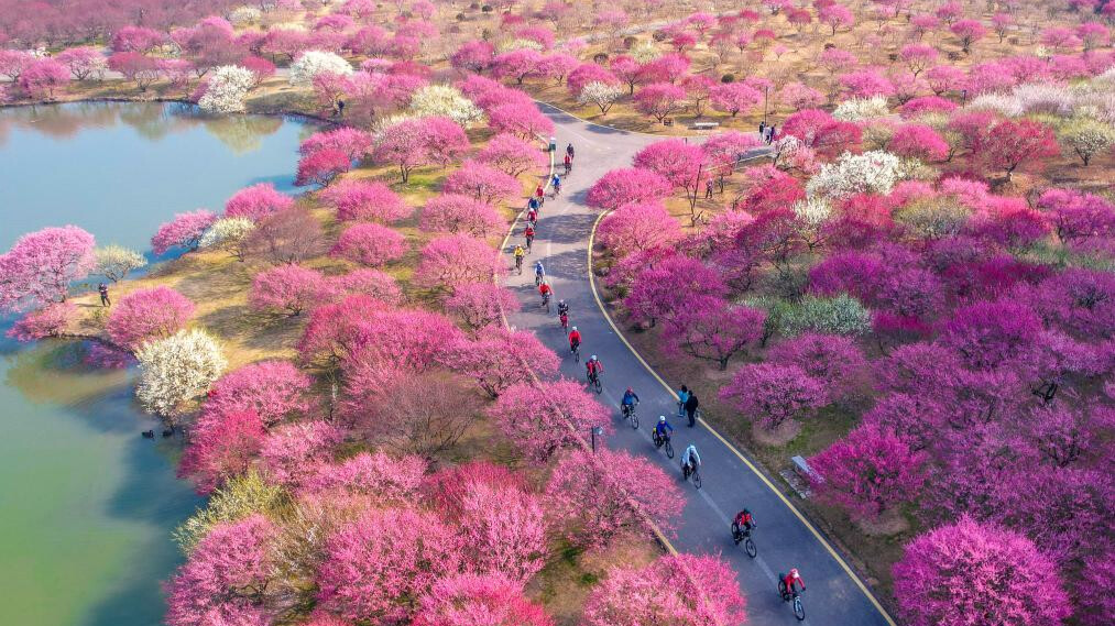 People enjoy spring across China