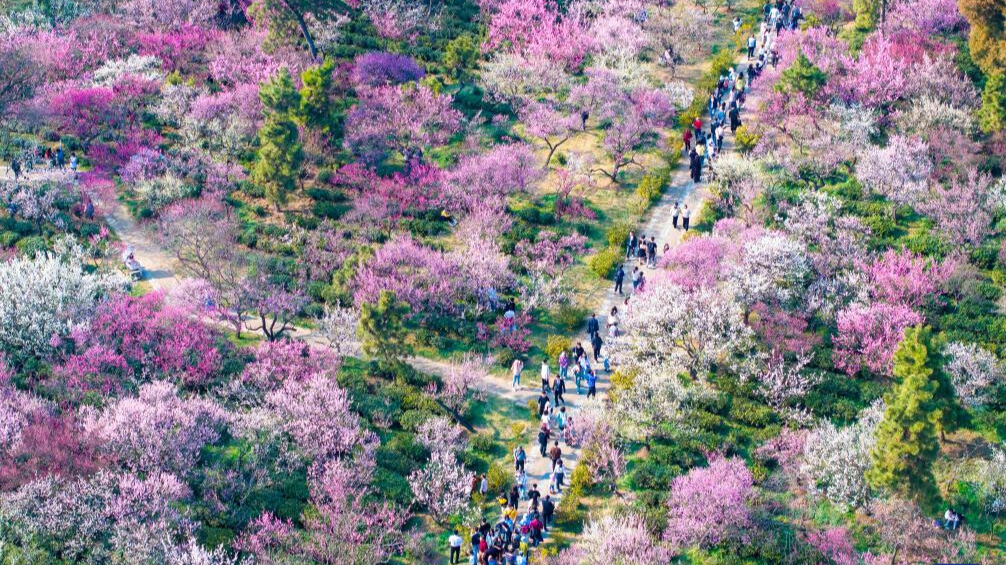 People enjoy spring across China