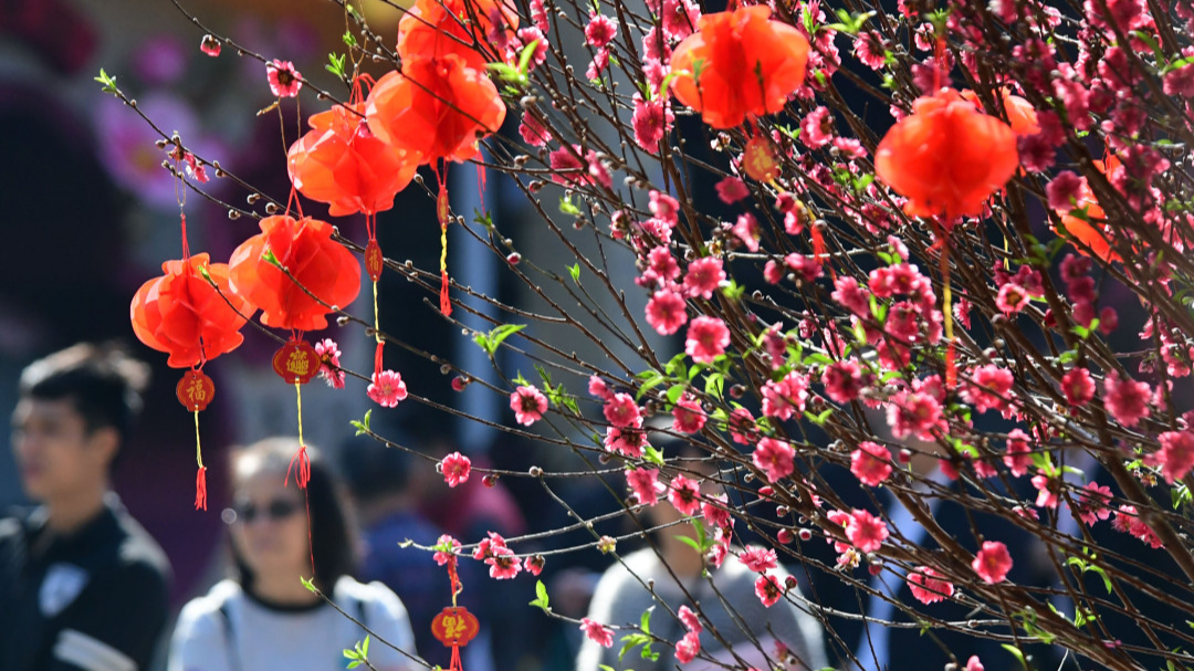 Information of Guangzhou traditional flower market 2023