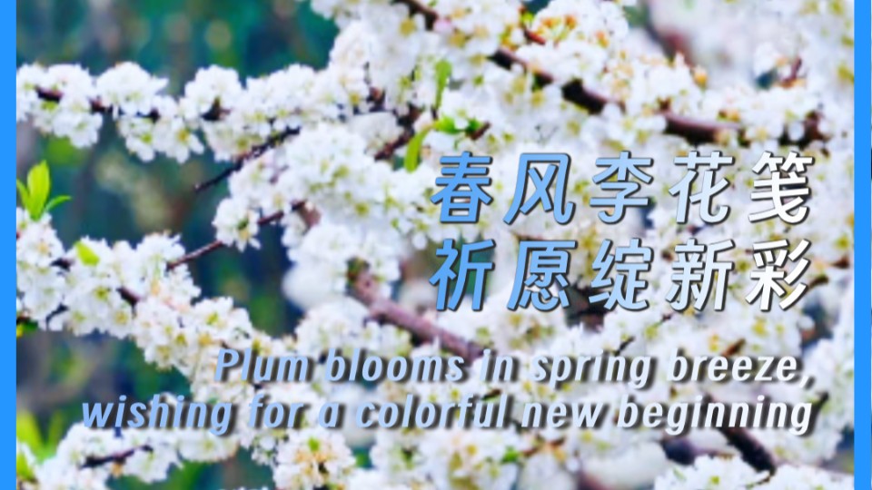 Plum blooms in spring breeze, wishing for a colorful new beginning