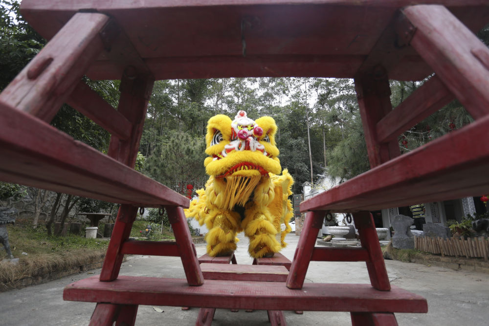 1月24日，在广东省鹤山市鹤城镇，禧诚龙狮队队员进行传统舞狮训练。