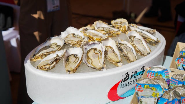 山海生“蚝”杰：阳西程村蚝的产业升级与文旅新生