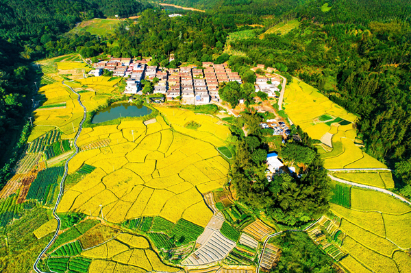 Guangdong holds conference on rural areas' high-quality development