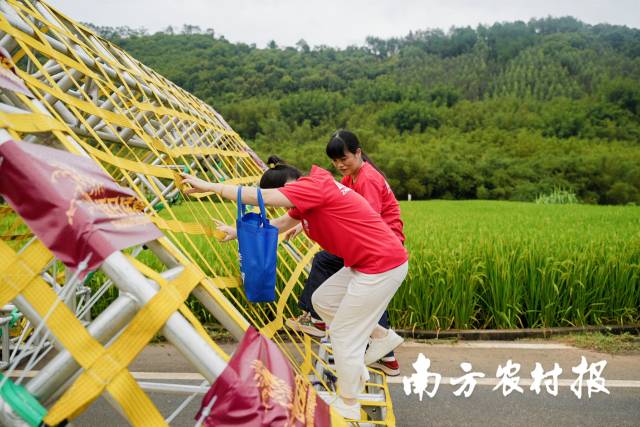 南方农村报 王富迪 拍摄