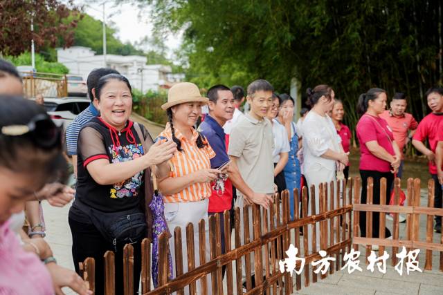 南方农村报 王富迪 拍摄
