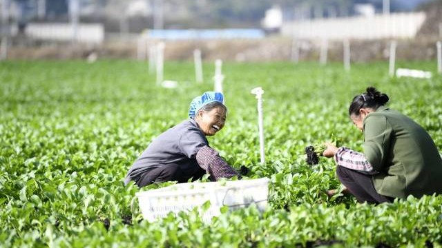 省委书记、省长率团跨省考察，重点强调了什么？