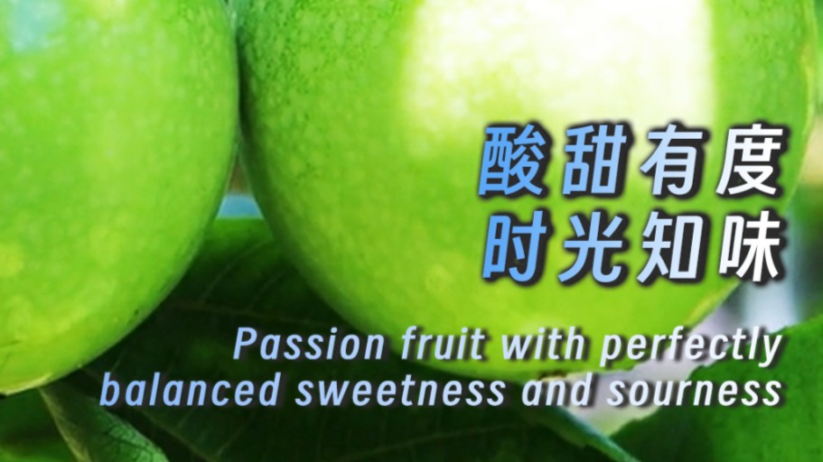 Passion fruit with perfectly balanced sweetness and sourness