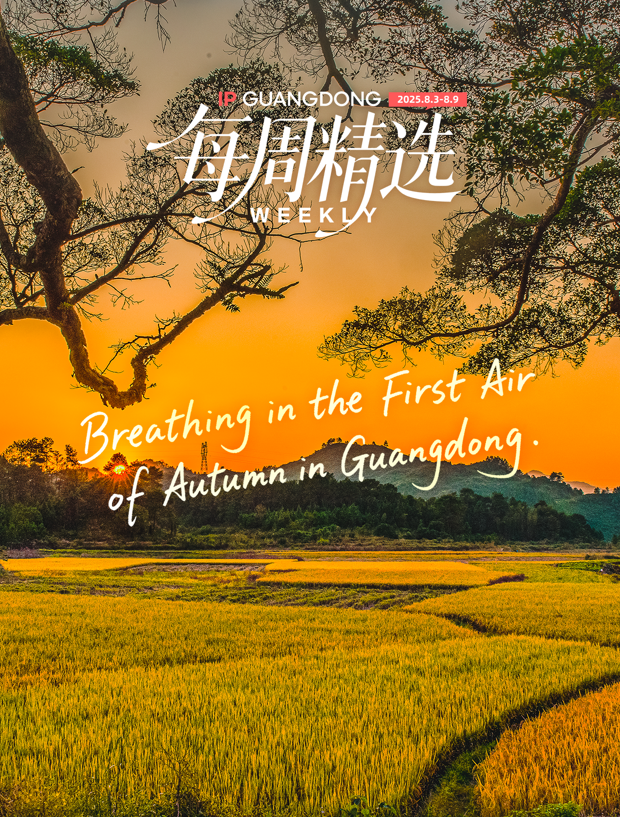 Weekly Highlights | Taking in the First Breath of Autumn in Guangdong