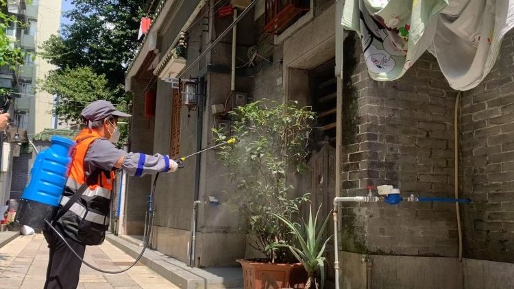防蚊灭蚊无死角！广州开展爱国卫生运动统一行动，全员翻盆倒罐清积水