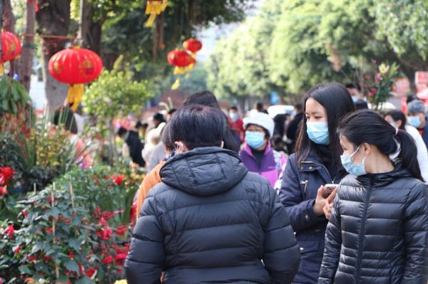 广州花地湾迎春花市将启幕：14天，续写岭南“花”样年味