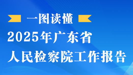 一图读懂｜2025年广东省人民检察院工作报告