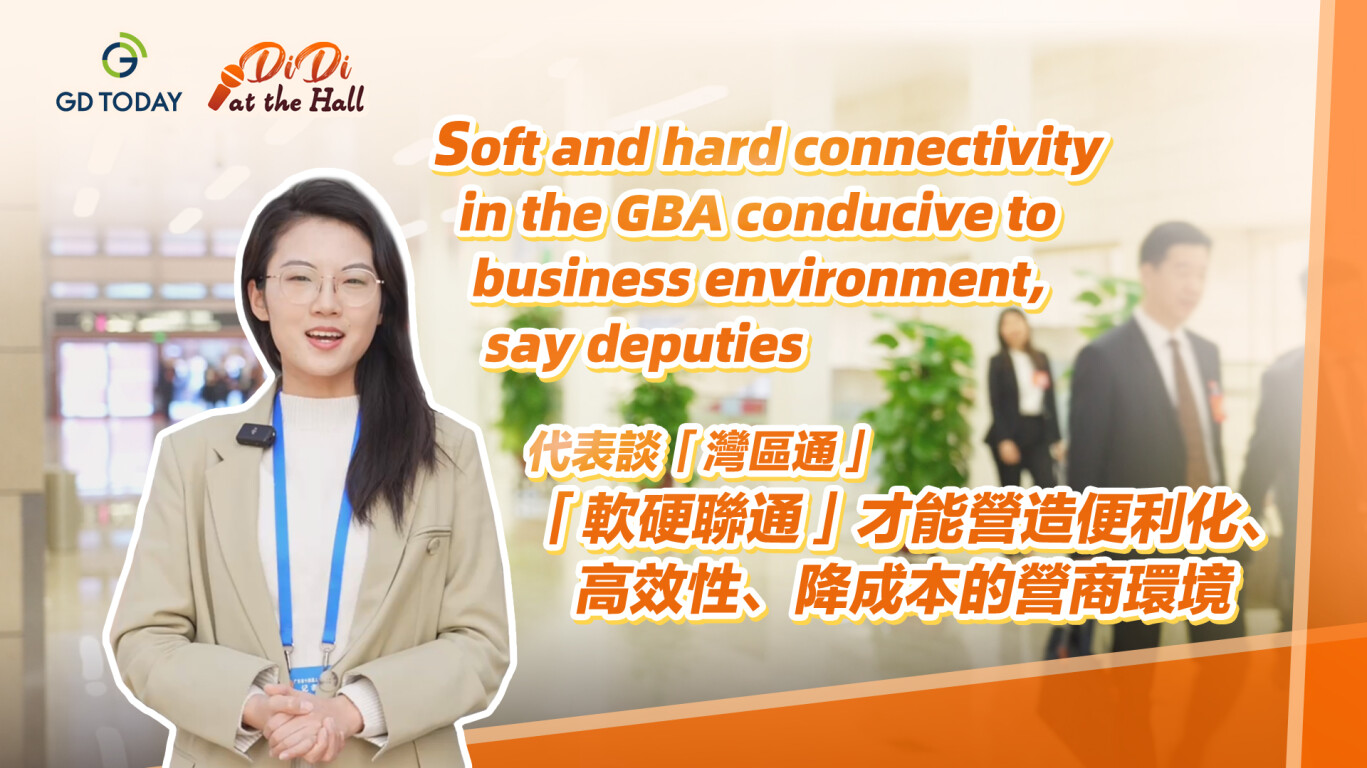 Didi at the Hall | Soft and hard connectivity in the GBA conducive to business environment, say deputies