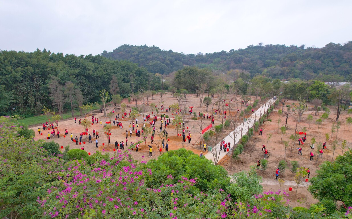 中山市植树活动火炬开发区会场（通讯员供图）