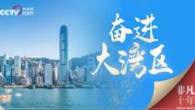 非凡十年丨奋进大湾区 非凡十年丨奋进大湾区