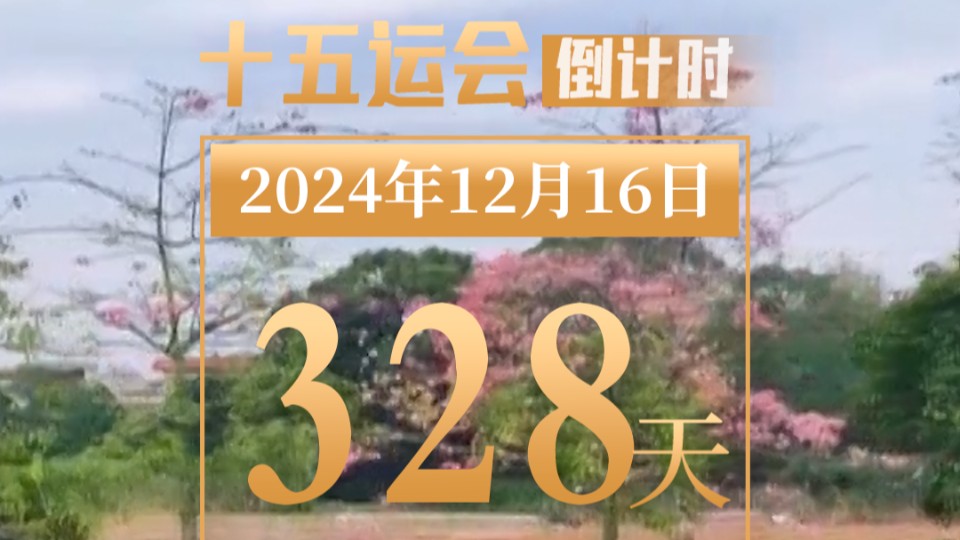 全运日历｜2024年12月16日