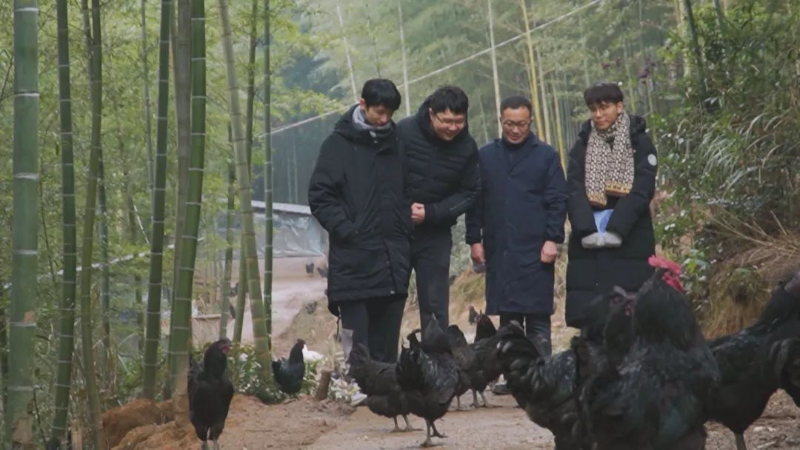 L’histoire d’élevage des poulets par des « étudiants en IA » de l’Université de Shenzhen