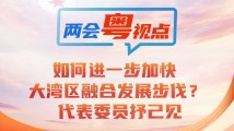 两会粤视点②｜如何进一步加快大湾区融合发展步伐？代表委员抒己见