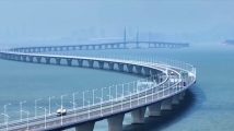2023粤港澳大湾区全球招商大会将于11月8日-9日举办 2023粤港澳大湾区全球招商大会将于11月8日-9日举办