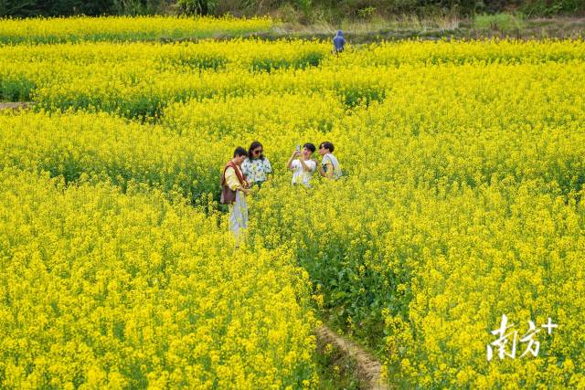 南方拍客 南方拍客 阿基 供图