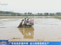 广东各地多措并举 全力保障春耕生产 广东各地多措并举 全力保障春耕生产