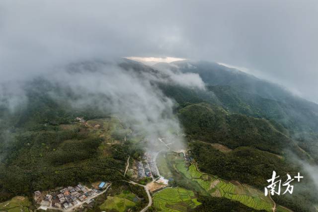 南方拍客 南方拍客 阿基 供图