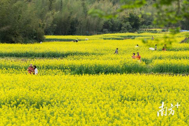 南方拍客 南方拍客 阿基 供图