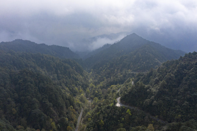 Guangdong to implement China’s first "Double Forest Chiefs Scheme" to protect forest resources