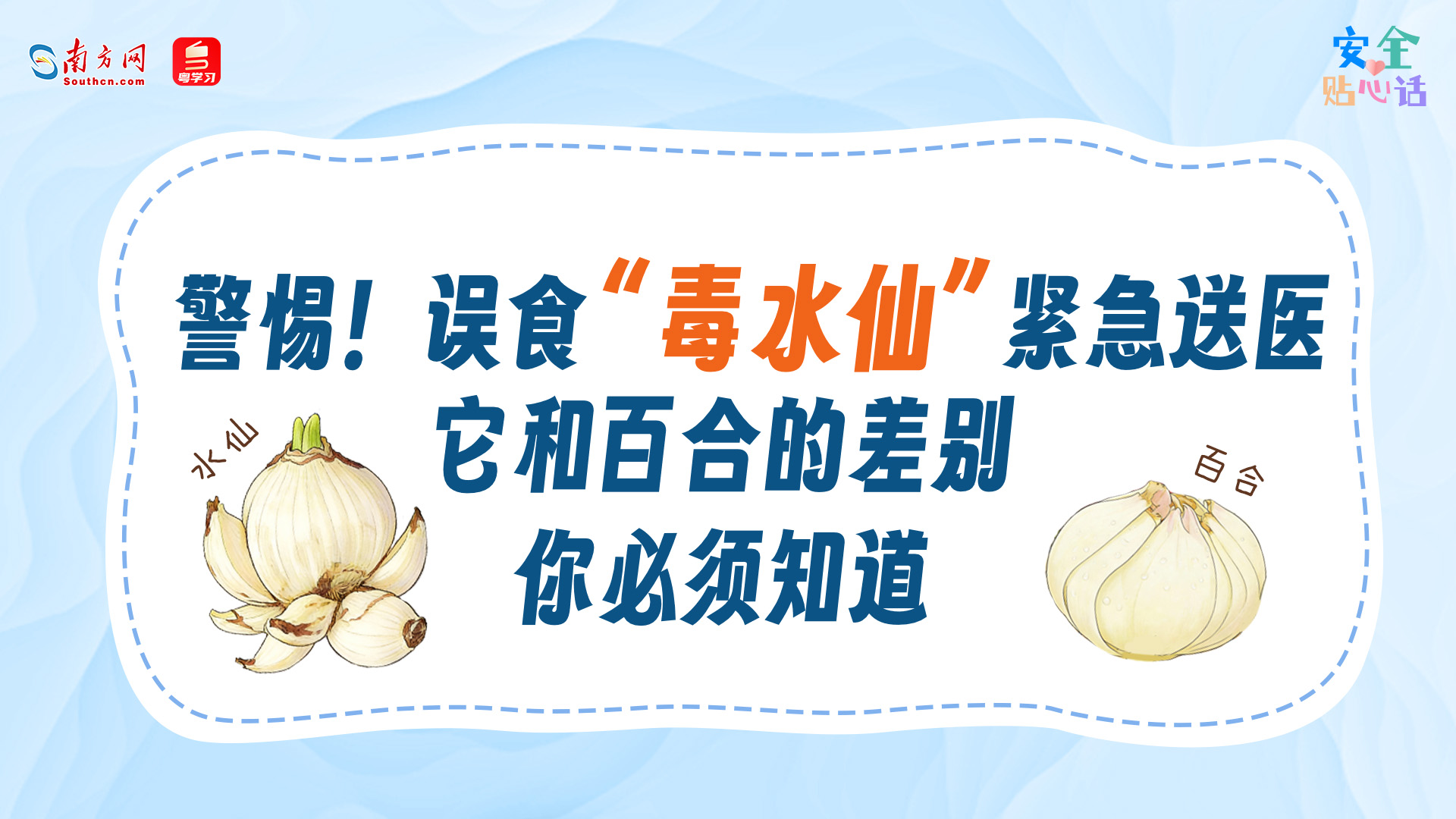 警惕！祖孙俩误食“毒水仙”紧急送医，它和百合的差别→｜安全贴心话