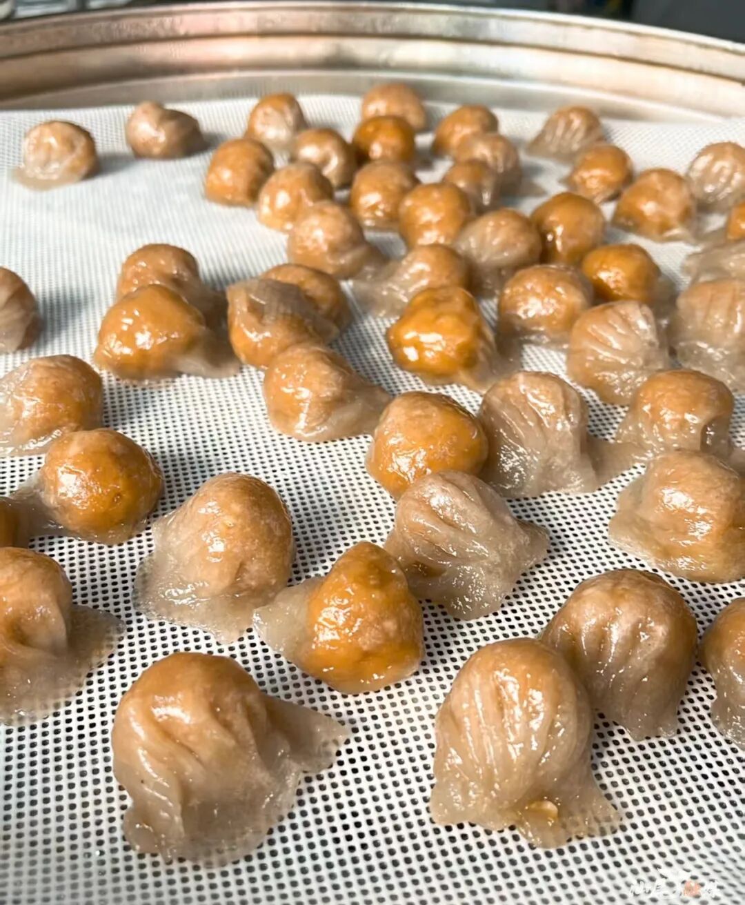 海丰小米 钟文婷 摄