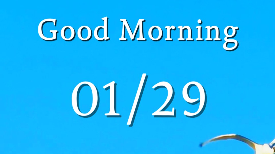 Heaven and earth fall into shared stillness as wings rest upon water mirror