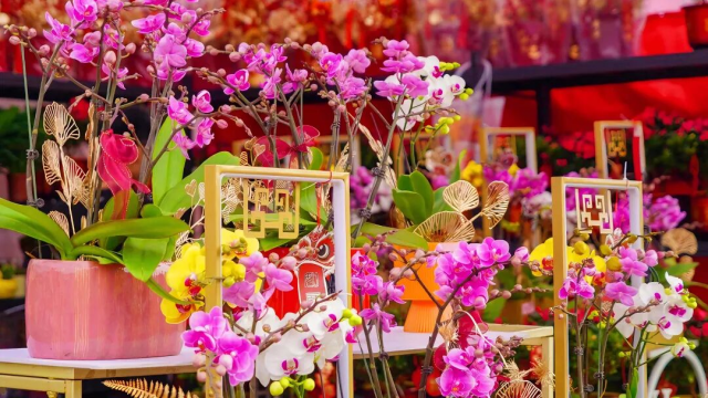 Guide to Zhuhai's 2026 Spring Festival flower fairs and new year goods markets