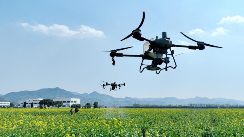 Farmers across China busy working at fields ahead of Chunfen