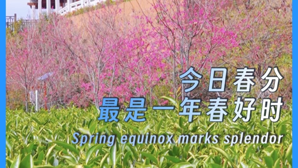 Spring equinox marks splendor