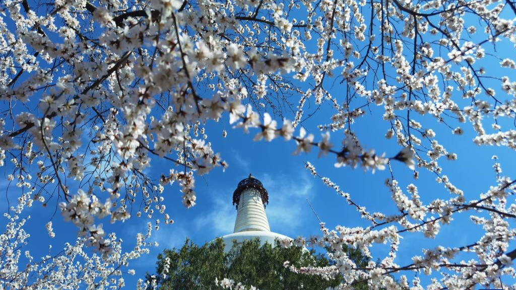 Spring scenery across China