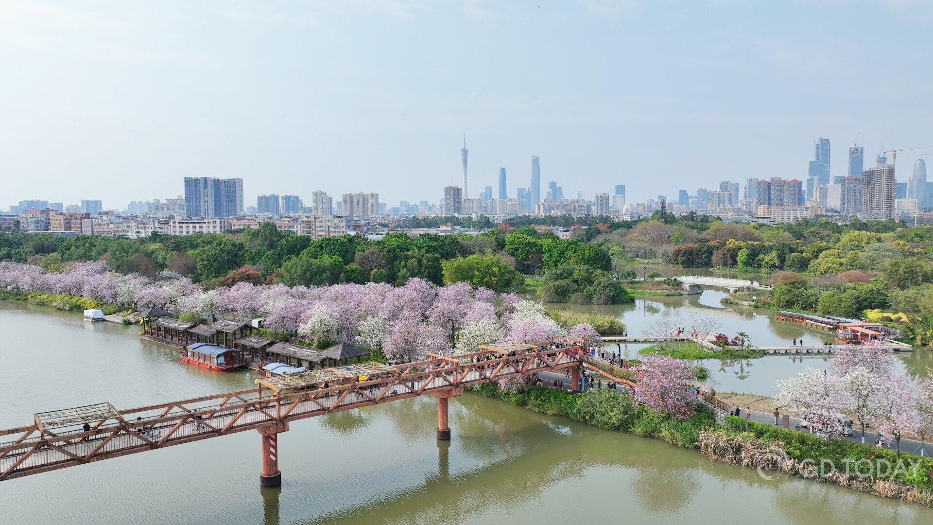 Fragrance of blossoms fills Guangzhou