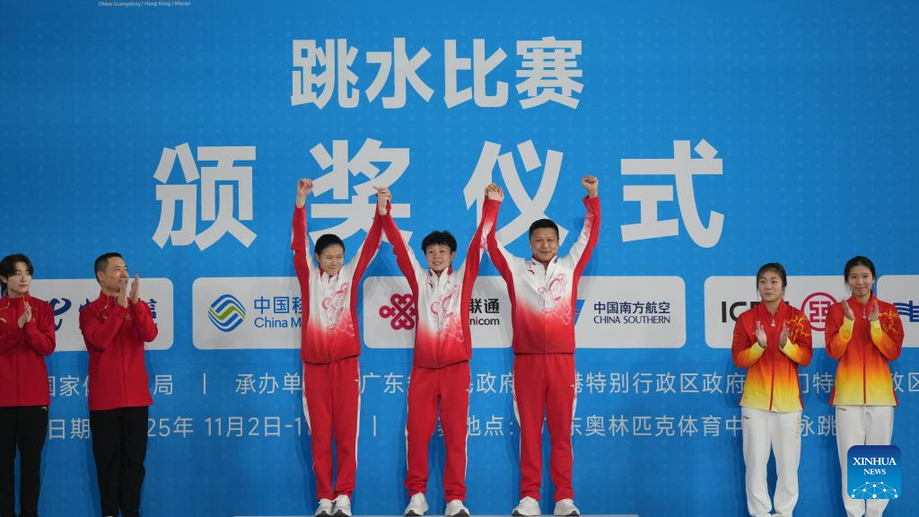 Chen/Lin of Guangdong win women's 3m synchronised springboard at China's National Games