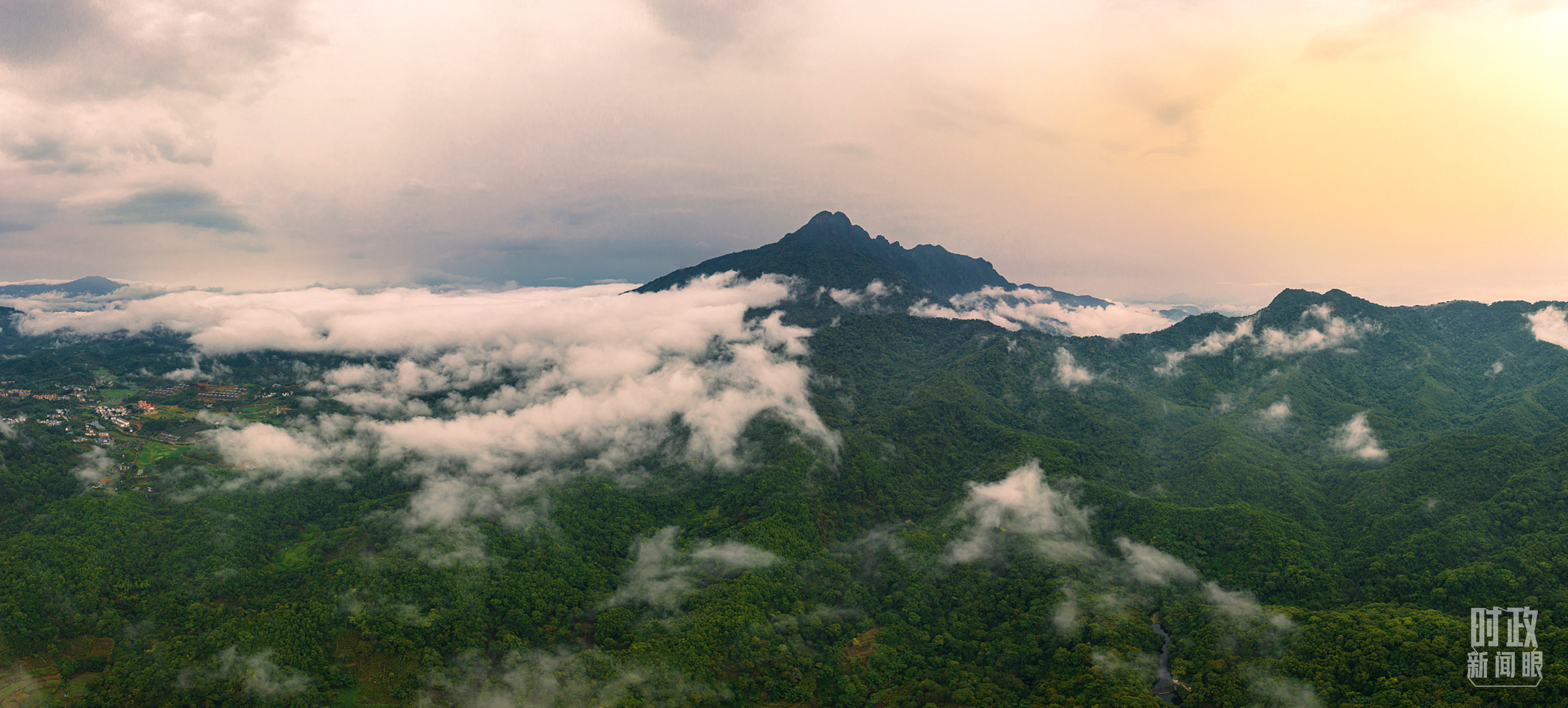 △海南热带雨林国家公园。（图/视觉中国）