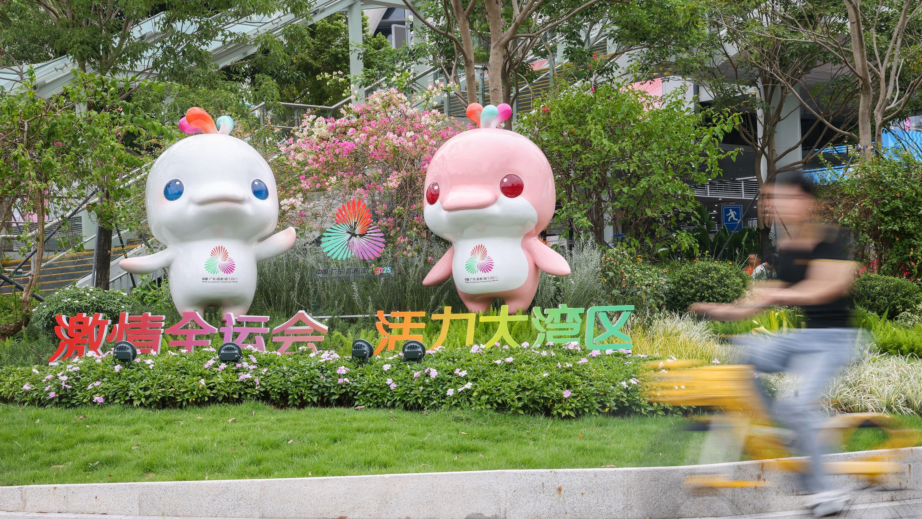 新华社：粤港澳共同承办十五运会展现“一国两制”实践新气象