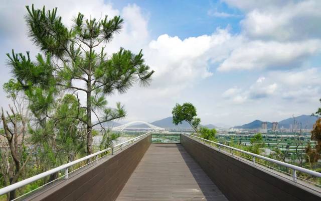 小横琴山步道（资料图）