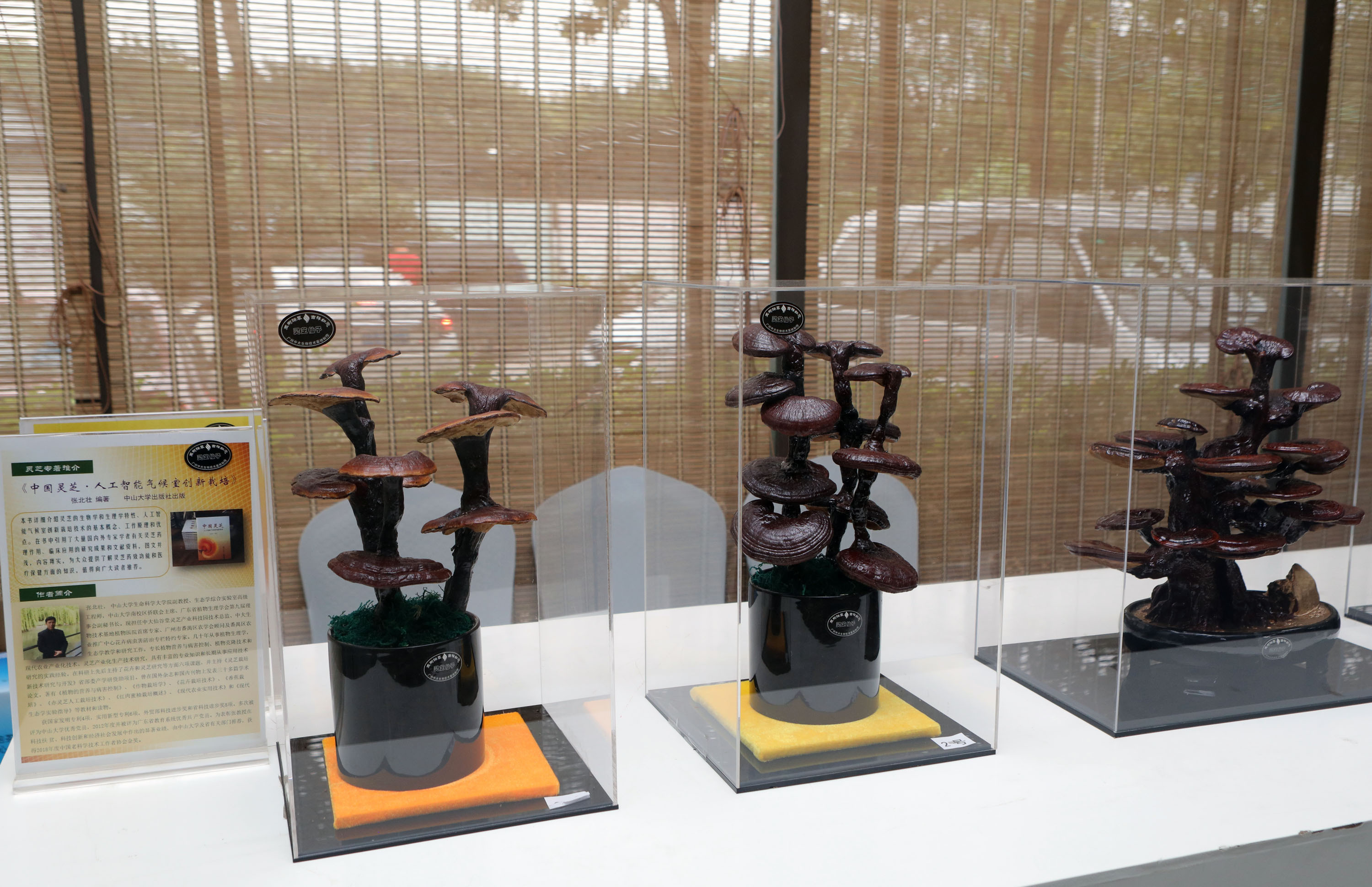 Guangdong ranks 1st in IPR protection development index across China