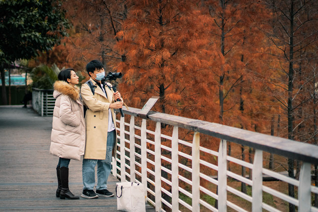Good place for photographs! Red leaves of GD in these places...