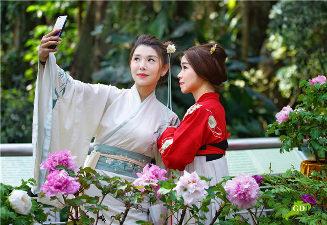 Ideal destinations to enjoy a forest oxygen bar trip in Guangzhou