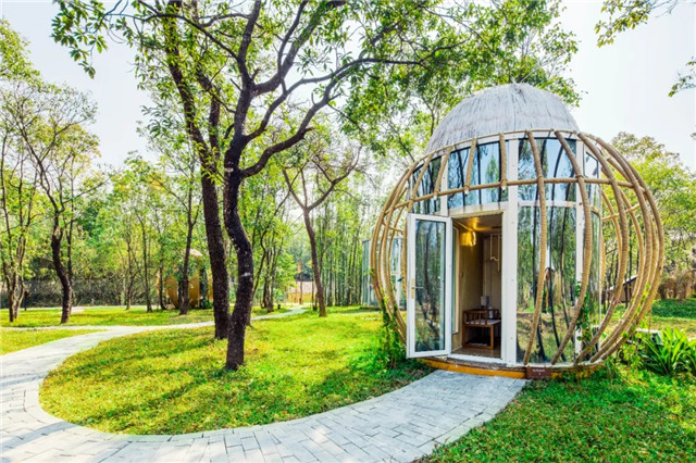 A fantastic campsite for children to explore the nature in Guangzhou