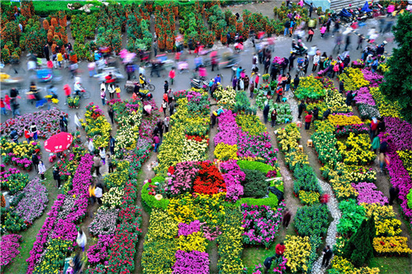 Stroll through the flower market to start spring festival in Guangzhou