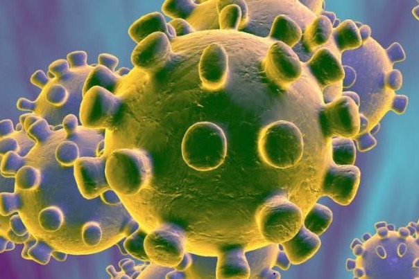 New COVID-19 study shows science must come before politics