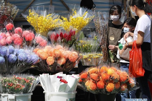 Hong Kong scales down Lunar New Year flower trade amid pandemic