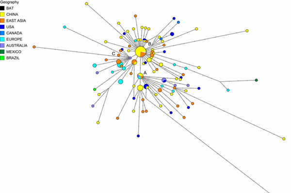 Scientists map COVID-19's journey across the world