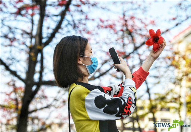 Mask prices reduced and selection rate increases on ‘Suikang’