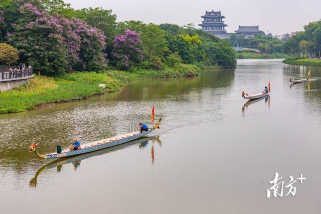 5月22日，广州海珠湖，龙舟爱好者在湖上划龙舟。生而幸之 摄