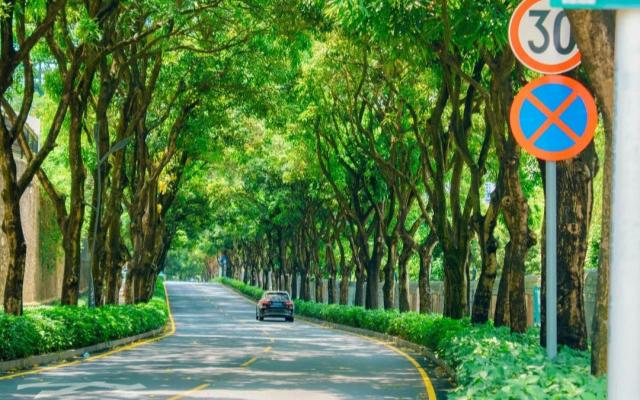 Photo | Yinhu community, a green wonderland hidden in downtown Shenzhen Photo | Yinhu community, a green wonderland hidden in downtown Shenzhen